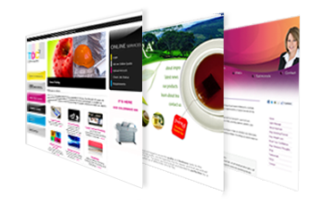 Professional Website